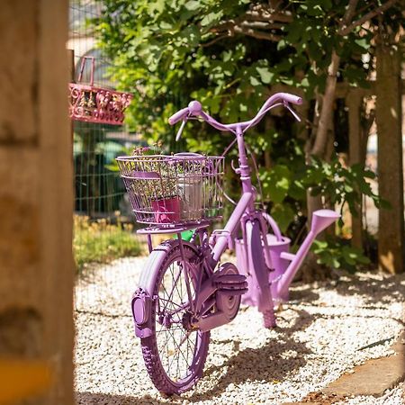 Casa Parenzana Lägenhet Poreč Exteriör bild