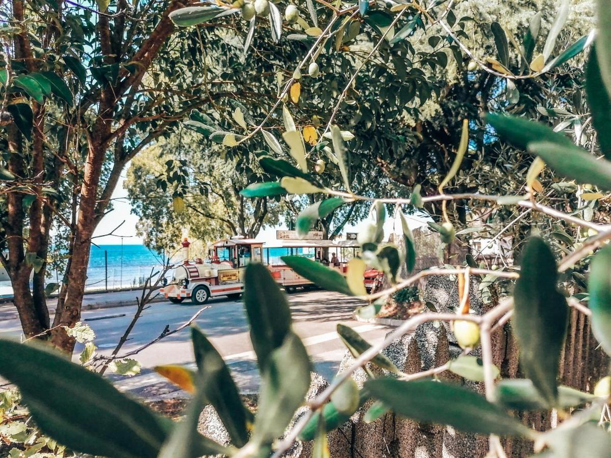 Casa Parenzana Lägenhet Poreč Exteriör bild